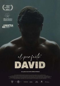 Afiche El perfecto David - Salta Cine