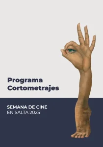 afiche-miradas-cortos