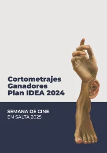 afiche-miradas-cortosIdea2024