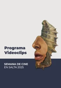 afiche-miradas-videoclips